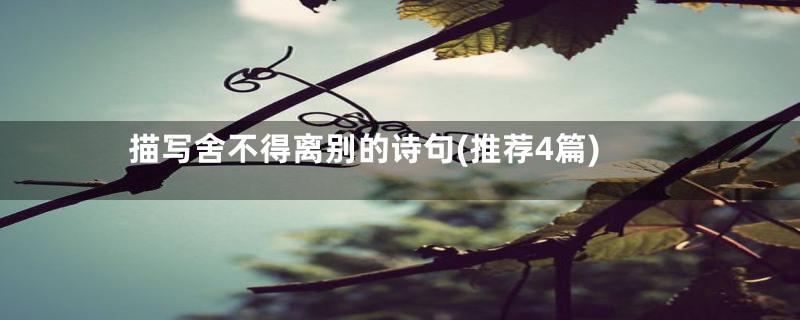 描写舍不得离别的诗句(推荐4篇)