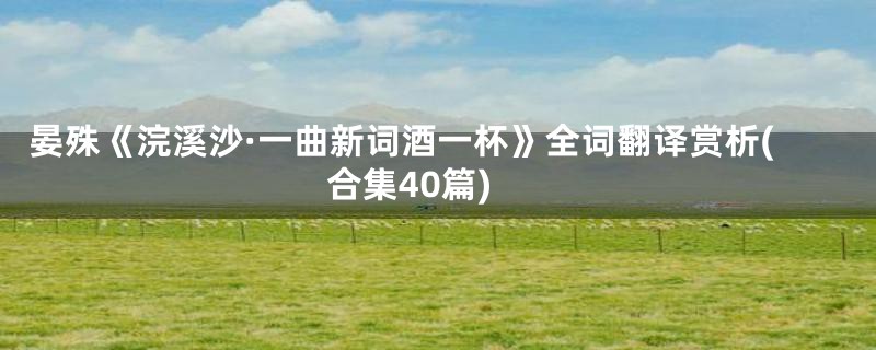 晏殊《浣溪沙·一曲新词酒一杯》全词翻译赏析(合集40篇)