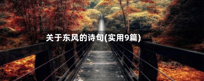 关于东风的诗句(实用9篇)