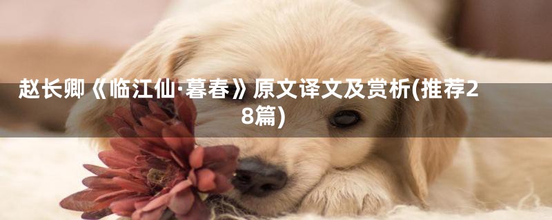 赵长卿《临江仙·暮春》原文译文及赏析(推荐28篇)