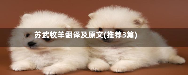 苏武牧羊翻译及原文(推荐3篇)