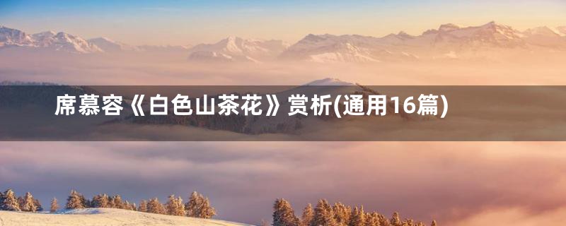 席慕容《白色山茶花》赏析(通用16篇)