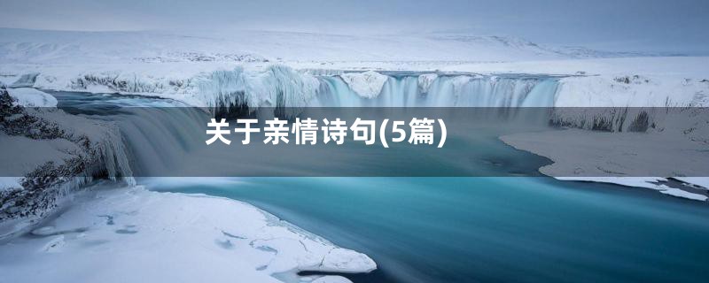关于亲情诗句(5篇)