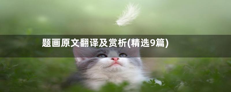 题画原文翻译及赏析(精选9篇)