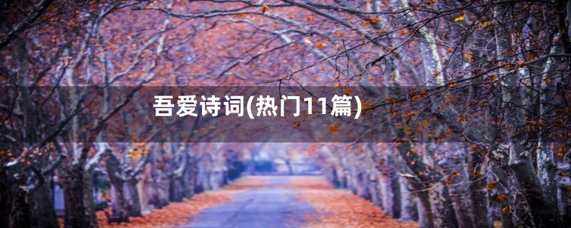 吾爱诗词(热门11篇)
