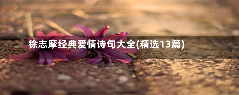 徐志摩经典爱情诗句大全(精选13篇)