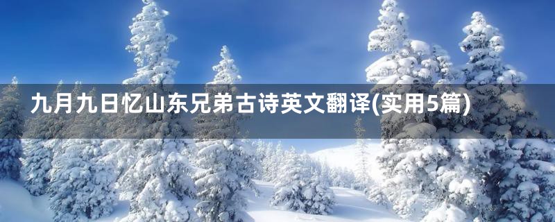 九月九日忆山东兄弟古诗英文翻译(实用5篇)