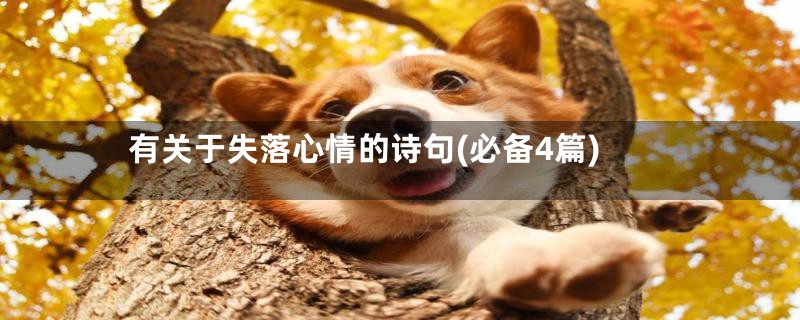 有关于失落心情的诗句(必备4篇)