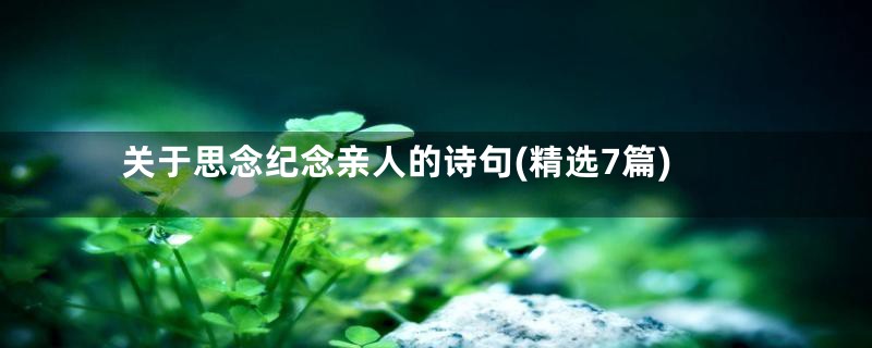 关于思念纪念亲人的诗句(精选7篇)