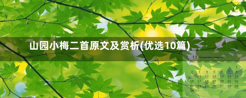 山园小梅二首原文及赏析(优选10篇)