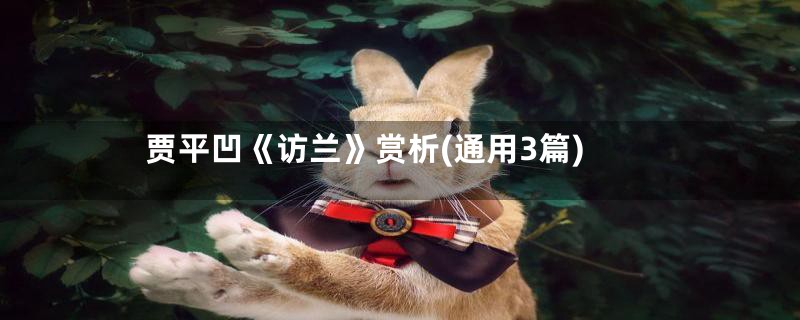 贾平凹《访兰》赏析(通用3篇)