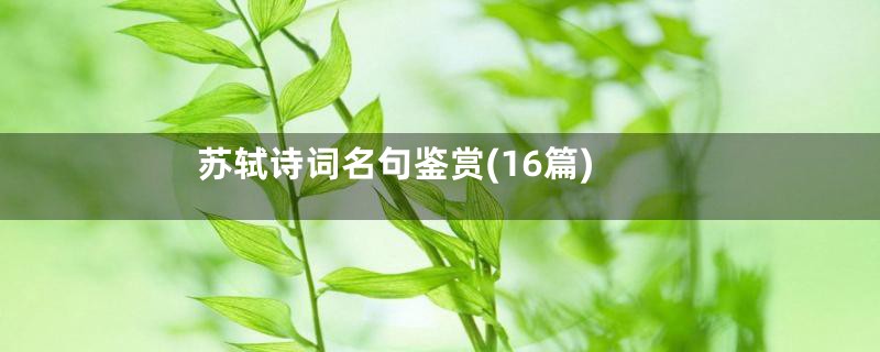 苏轼诗词名句鉴赏(16篇)