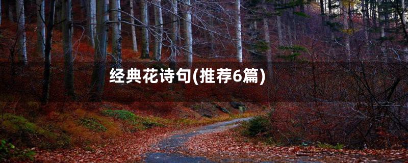 经典花诗句(推荐6篇)