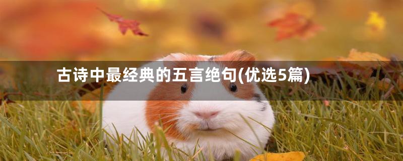 古诗中最经典的五言绝句(优选5篇)