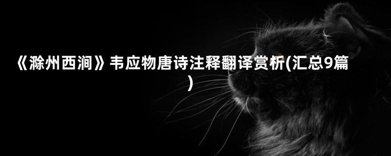 《滁州西涧》韦应物唐诗注释翻译赏析(汇总9篇)