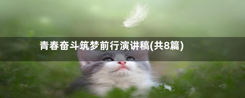 青春奋斗筑梦前行演讲稿(共8篇)