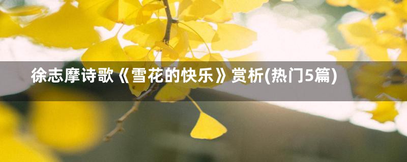 徐志摩诗歌《雪花的快乐》赏析(热门5篇)