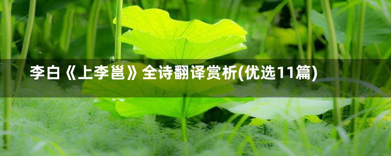李白《上李邕》全诗翻译赏析(优选11篇)