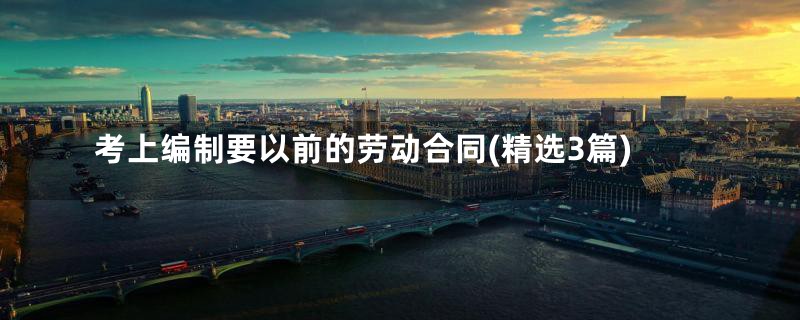 考上编制要以前的劳动合同(精选3篇)