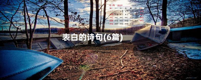 表白的诗句(6篇)