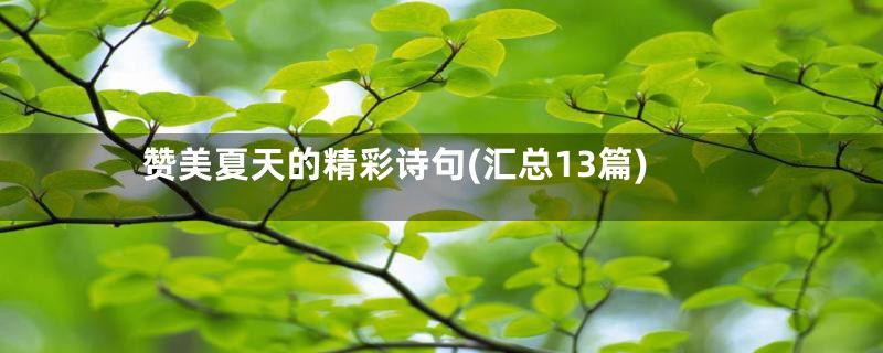 赞美夏天的精彩诗句(汇总13篇)