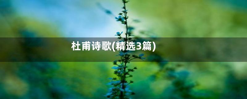 杜甫诗歌(精选3篇)