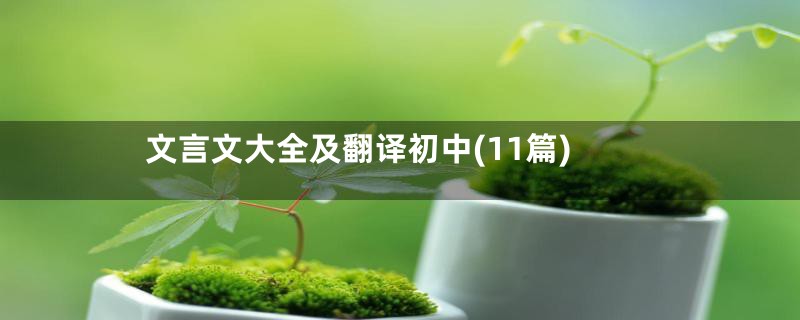 文言文大全及翻译初中(11篇)