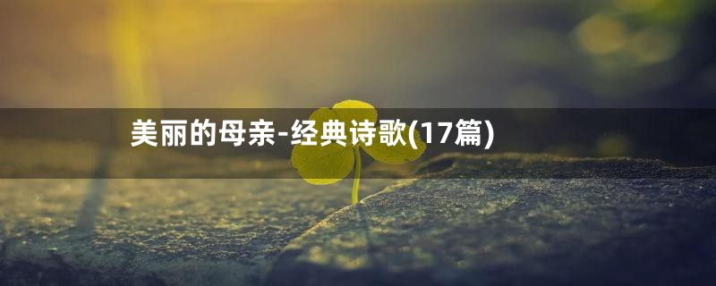 美丽的母亲-经典诗歌(17篇)