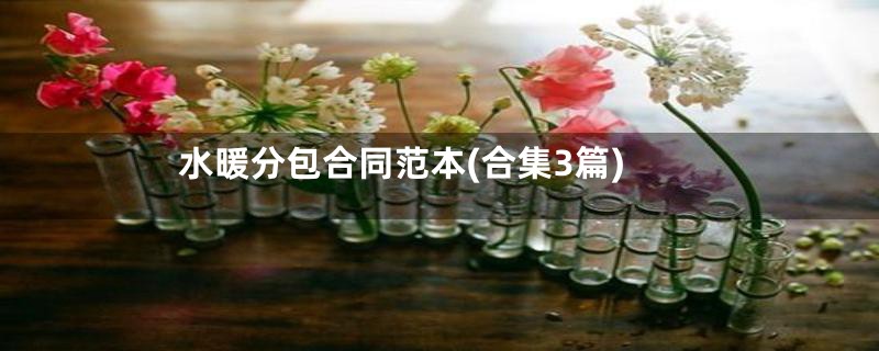 水暖分包合同范本(合集3篇)
