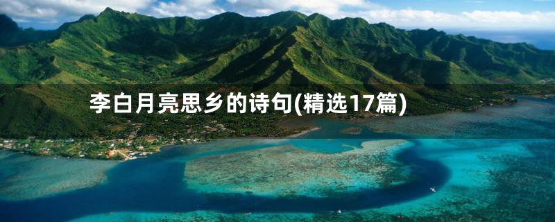 李白月亮思乡的诗句(精选17篇)
