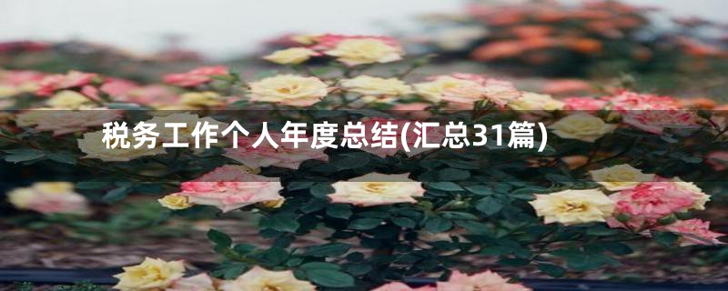 税务工作个人年度总结(汇总31篇)