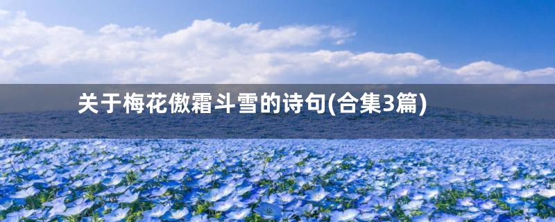 关于梅花傲霜斗雪的诗句(合集3篇)