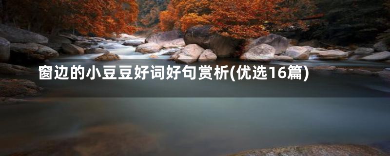 窗边的小豆豆好词好句赏析(优选16篇)