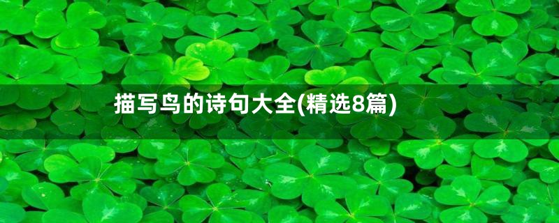 描写鸟的诗句大全(精选8篇)