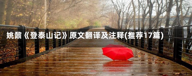 姚鼐《登泰山记》原文翻译及注释(推荐17篇)