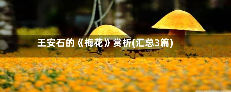 王安石的《梅花》赏析(汇总3篇)
