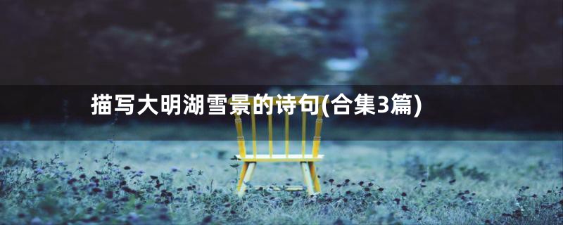 描写大明湖雪景的诗句(合集3篇)