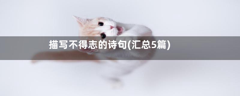 描写不得志的诗句(汇总5篇)