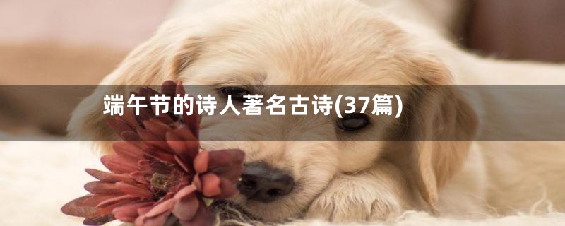 端午节的诗人著名古诗(37篇)