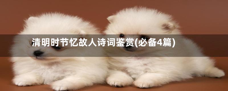 清明时节忆故人诗词鉴赏(必备4篇)