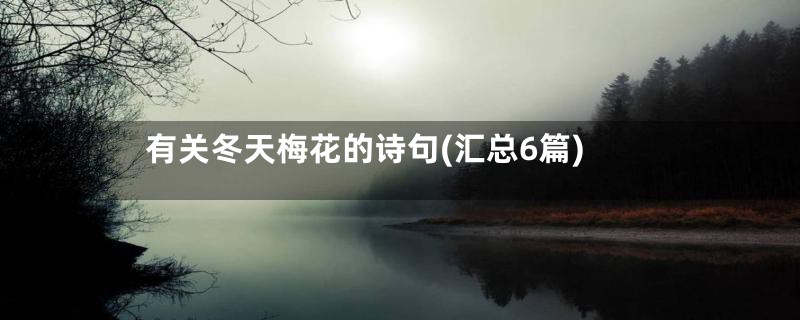 有关冬天梅花的诗句(汇总6篇)