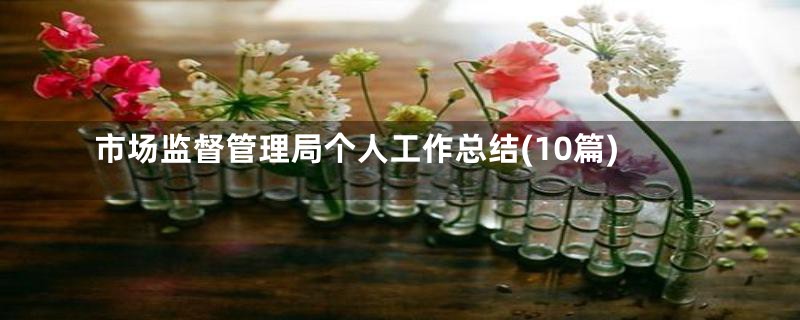 市场监督管理局个人工作总结(10篇)