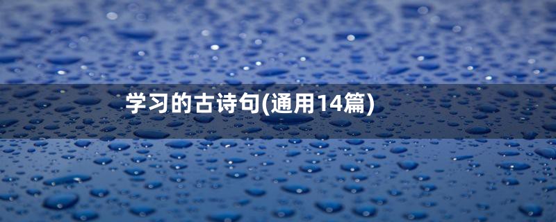 学习的古诗句(通用14篇)