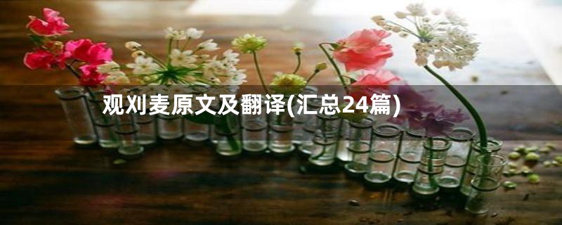 观刈麦原文及翻译(汇总24篇)