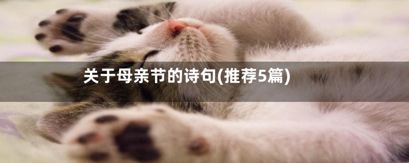 关于母亲节的诗句(推荐5篇)