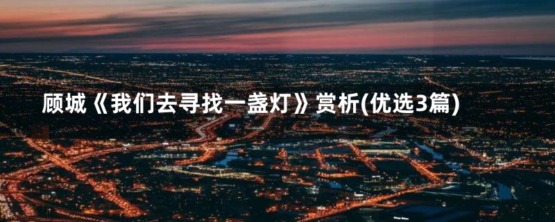 顾城《我们去寻找一盏灯》赏析(优选3篇)