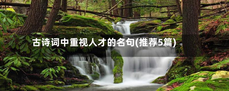 古诗词中重视人才的名句(推荐5篇)