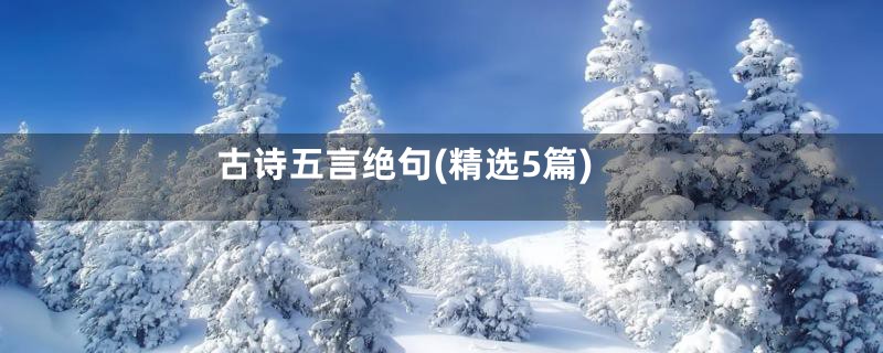 古诗五言绝句(精选5篇)