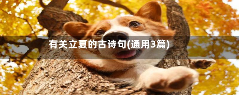 有关立夏的古诗句(通用3篇)
