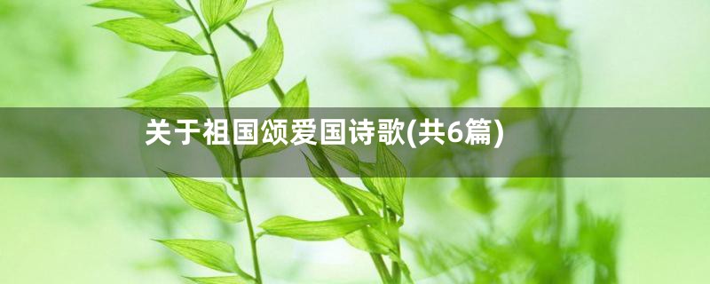 关于祖国颂爱国诗歌(共6篇)